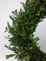 Load image into Gallery viewer, 16&quot; round boxwood wreath
