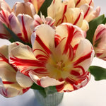Load image into Gallery viewer, travel the world with me / monthly seasonal blooms subscription
