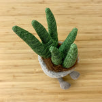 Load image into Gallery viewer, silly succulent aloe by jellycat
